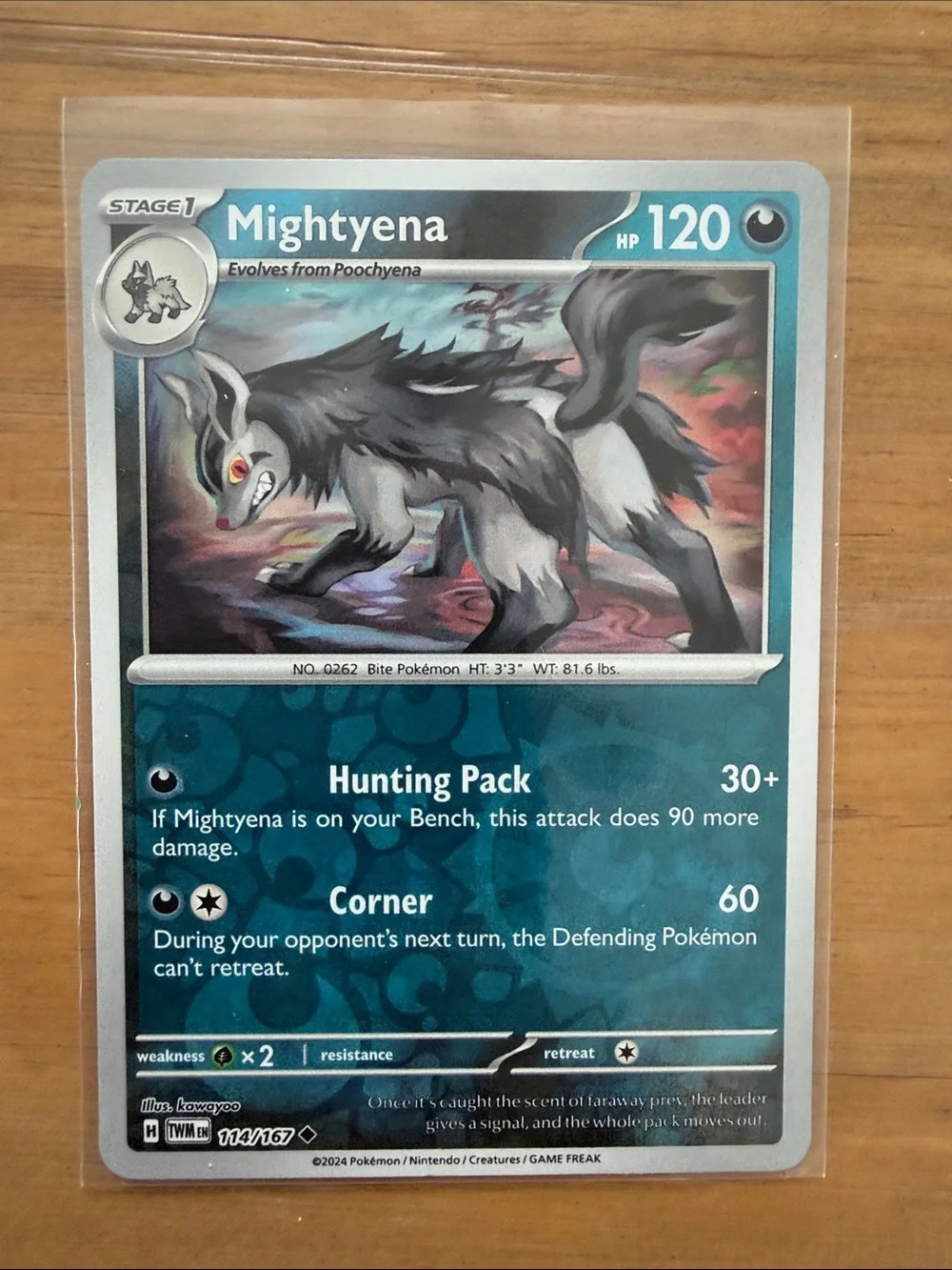 Poochyena & Mightyena Evolution Lot | 3 Reverse Holo Pokémon Cards ✨5/$25✨